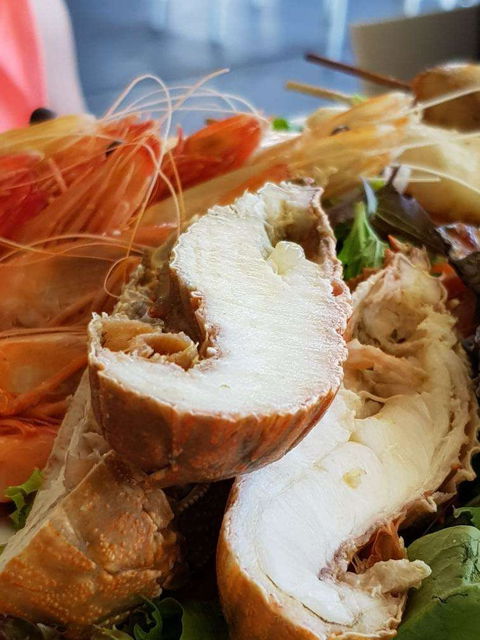 Bribie Island Surf Club - Accommodation Directory 0