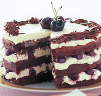 The Cheesecake Shop - Ashgrove - Accommodation Directory