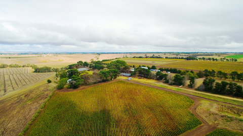 Pettavel Wines - Accommodation Directory 0