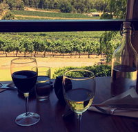 Hainault Vineyard and Cafe - Accommodation Directory