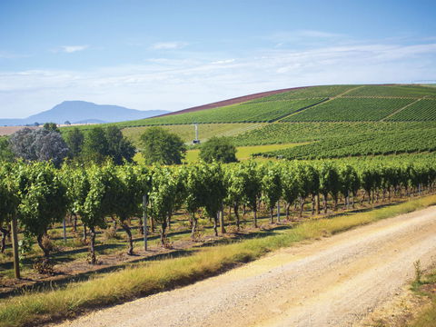 Jansz Tasmania - Accommodation Directory 0