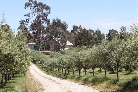 L'Oliveraie Olive Grove - Accommodation Directory 0