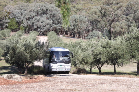 L'Oliveraie Olive Grove - Accommodation Directory 2