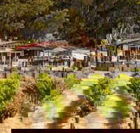 False Cape Wines Cellar Door - Accommodation Directory