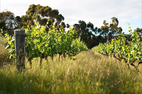 Happs Winery And Pottery - Accommodation Directory 0