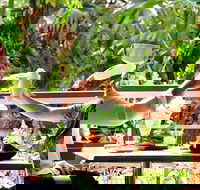Jaques Coffee Plantation - Accommodation Directory