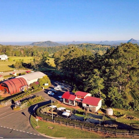 Live Foods Cafe - Accommodation Directory 0