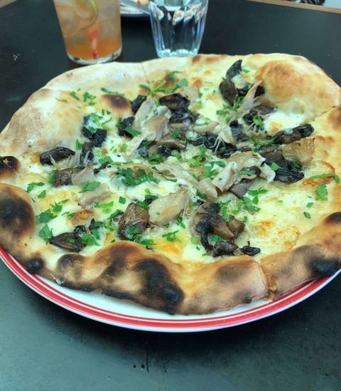 Mr Pietro - Accommodation Directory 0