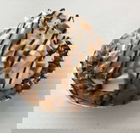 Oven Door Bakery Cafe Drover - Accommodation Directory