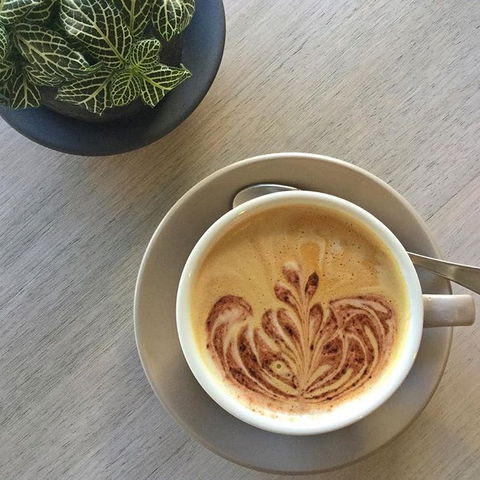 Soul Surf Cafe - Accommodation Directory 0