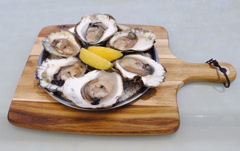 The Little Mussel Cafe - Accommodation Directory 1