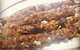Uyghur Cuisine - thumb 0