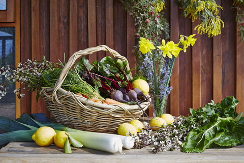 O'Reilly's Orchard - Accommodation Directory 1