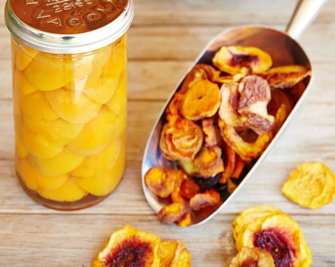 O'Reilly's Orchard - Accommodation Directory 2