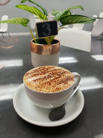 Just Desserts Cafe - Accommodation Directory 9