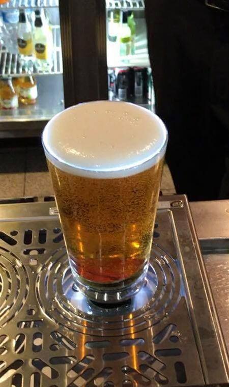 Diggers By The Park Brasserie - Accommodation Directory 4