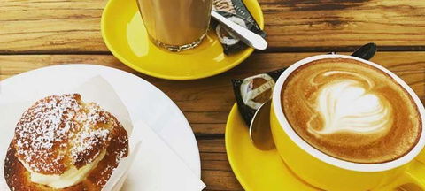 Honey Bee & Saint - Accommodation Directory 1