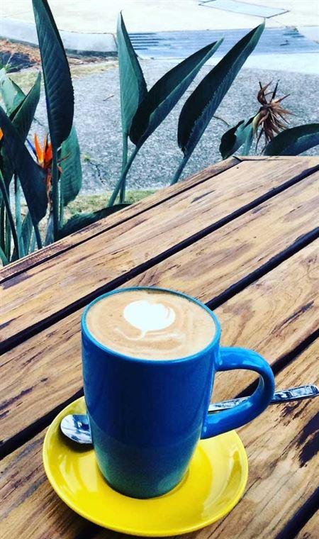 Honey Bee & Saint - Accommodation Directory 4