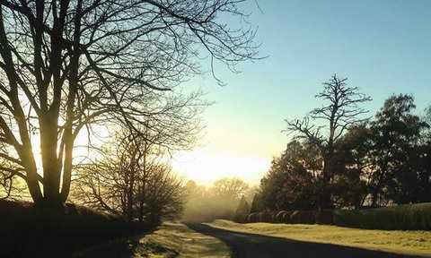 Katers Restaurant - Accommodation Directory 8