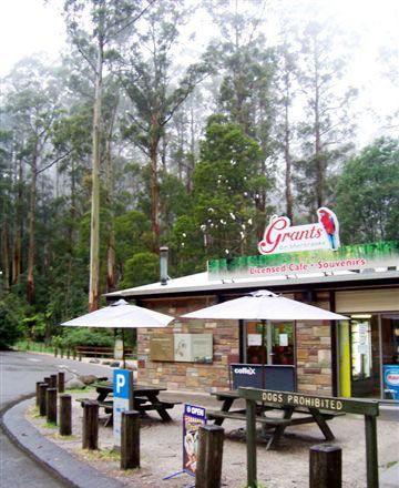 Kangaroo Island Fresh Seafoods And Takeaway - Accommodation Directory 5