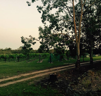Brierley Wines - Accommodation Directory