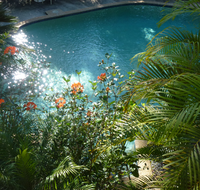 Avoca Beach Hotel - Accommodation Directory
