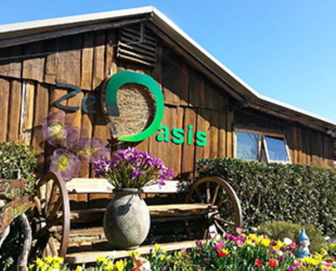 Zen Oasis Vegetarian Restaurant - Accommodation Directory 0