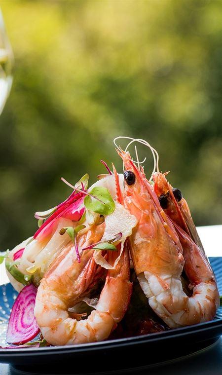 Marcellina's - Accommodation Directory 4