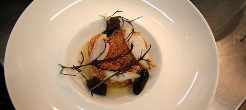 The Peak Restaurant At Spicers Peak Lodge - Accommodation Directory 1