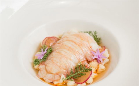 The Peak Restaurant At Spicers Peak Lodge - Accommodation Directory 8