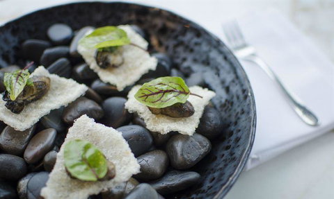 Taxi Kitchen - Accommodation Directory 11