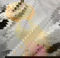 The Archie Secret Cafe - Accommodation Directory