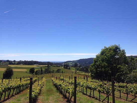 Barrington TAS Accommodation Directory