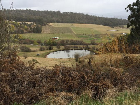 Fat Pig Farm - Accommodation Directory 0