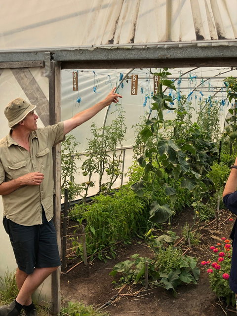 Fat Pig Farm - Accommodation Directory 4