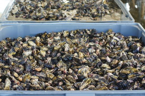 Lease 65 - Accommodation Directory 0