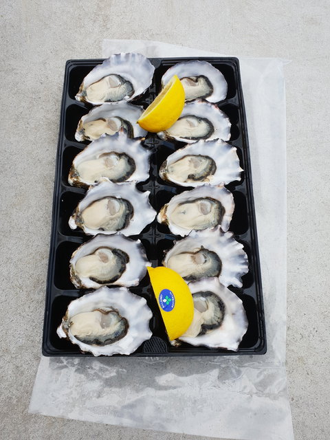 Lease 65 - Accommodation Directory 2