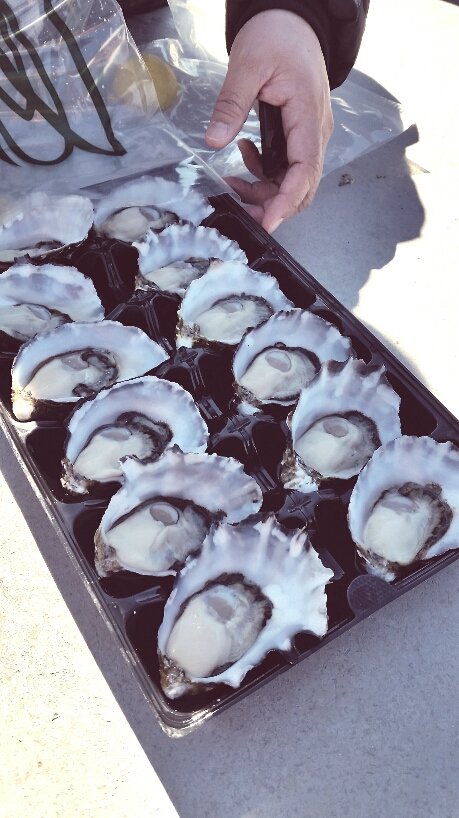 Lease 65 - Accommodation Directory 4