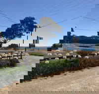 Penguin  Pardalote Coffee House - Accommodation Directory