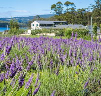 Port Arthur Lavender - Accommodation Directory