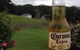 Port Arthur Motor Inn Restaurant - thumb 6