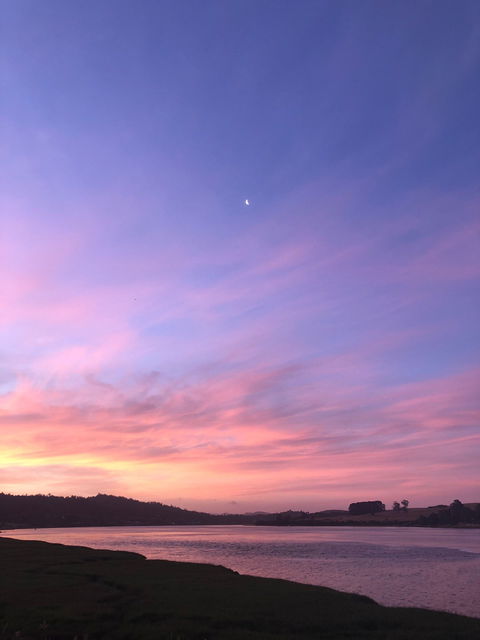 Rosevears Hotel - Accommodation Directory 4