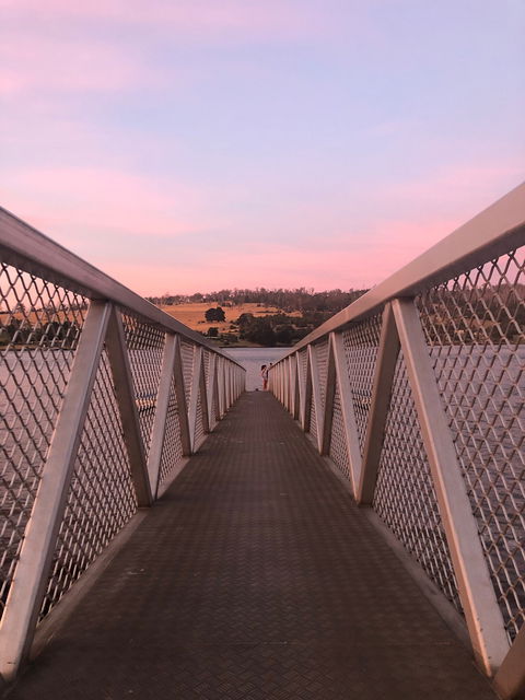 Rosevears Hotel - Accommodation Directory 5