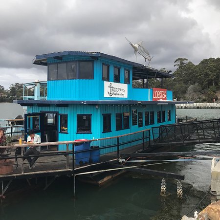 Skippers Floating Eatery - Accommodation Directory 0
