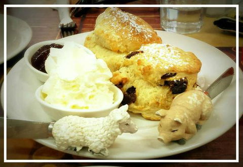 Sticky Beaks Cafe Longford Tasmania - Accommodation Directory 0