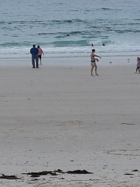 Sweet-Ness At The Sea - Accommodation Directory 1