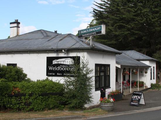 Weldborough TAS Accommodation Directory