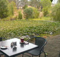 Avocados - Accommodation Directory