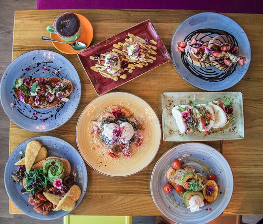  Accommodation Directory