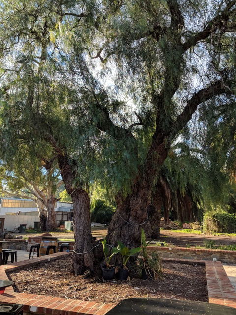Dell'uva Wines - Accommodation Directory 2